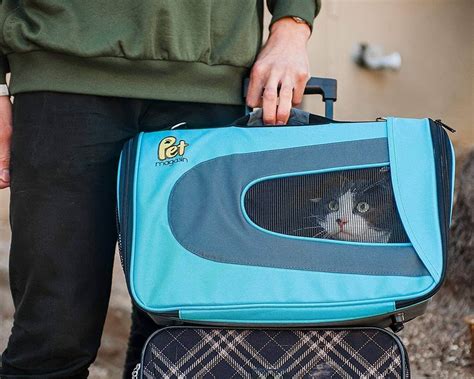 5 Tips Cat Carrier