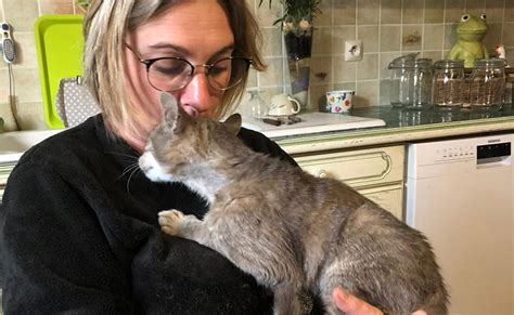 Cat Travels More Than 450Km Across France And Reunites With Owners 13