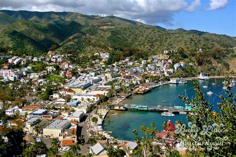 Catalina Island Ca A Little Paradise Off The Coast Of La Dawn