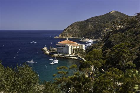 Catalina Island Facts Location Wildlife Visit Catalina Island