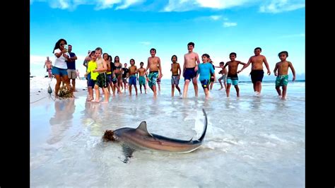 Catching Sharks With Kids Destin Beach Florida Vacation Youtube