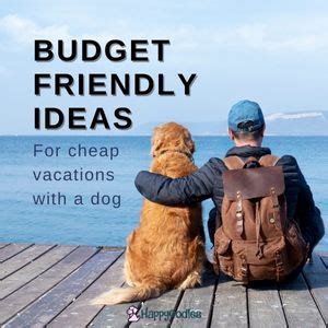 Cheap Vacations With A Pet Budget Friendly Ideas Happy Oodles