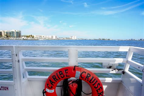 Choosing The Dolphin Cruise That Is Right For You Caribe Marina