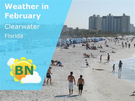 Clearwater Florida Weather In February