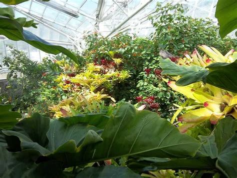 Cleveland Botanical Garden Tour Gardening Online Magazine