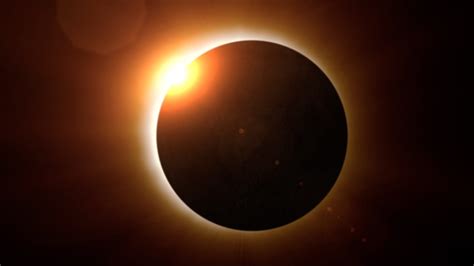 Cleveland Zoo Eclipse 2024