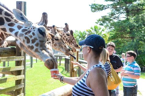 Closest Zoo To Destin Florida