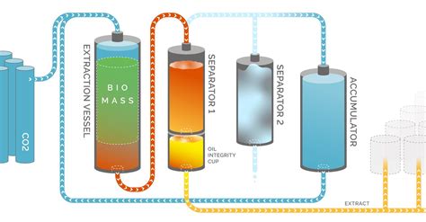 Co2 Extraction Process Diagram Extraction Co2 Cbd Separator