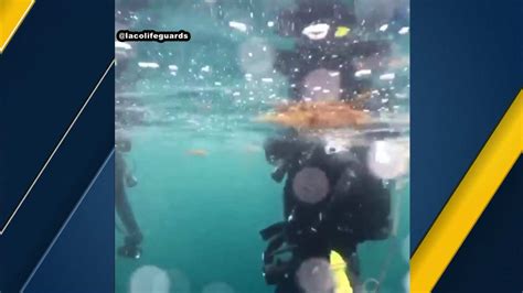 Coast Guard Finds Body Of Missing Diver Off Rancho Palos Verdes Abc7