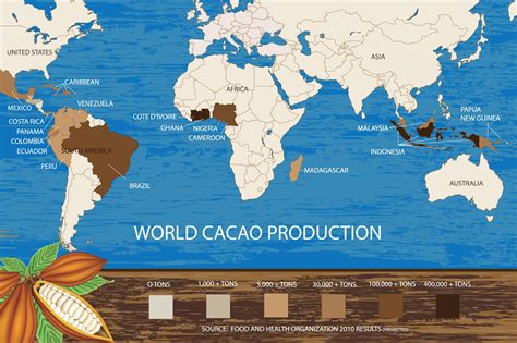 Cocoa Production Where Is Cocoa Grown Around The World