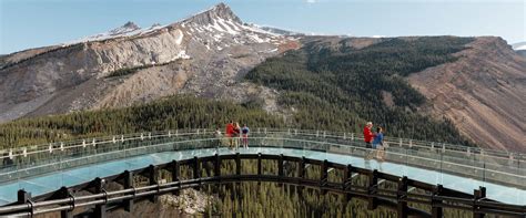 Columbia Icefield Adventure Glacier Skywalk Tour Discover Banff Tours