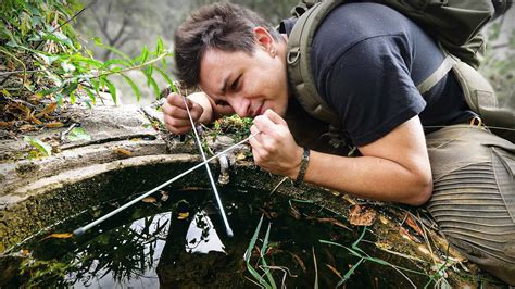 Comment Trouver De L Eau 5 Fa Ons De Choisir Un Endroit Pour Creuser