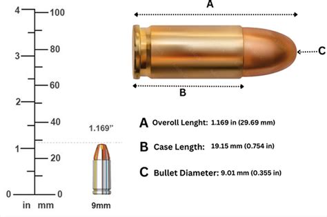 Comparison Of Various 9Mm Bullets By Length Weight And Diameter