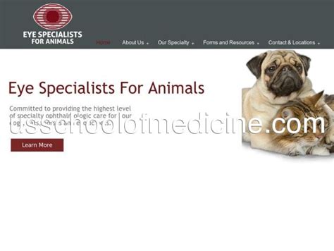 Contact Eye Specialists For Animals Denver 303 759 0862