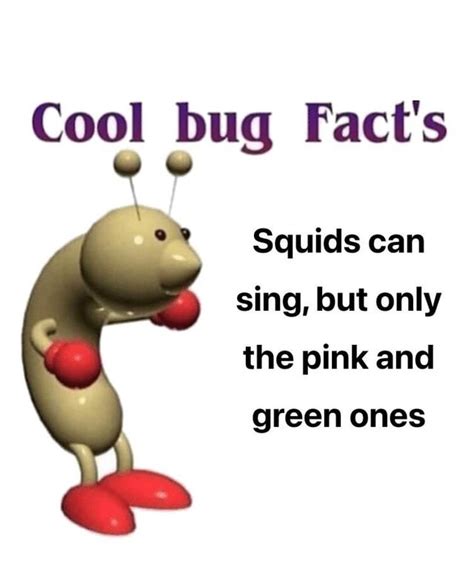 Cool Squid Facts R Memes