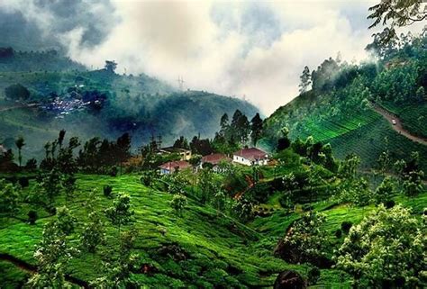 Coorg The Switzerland Of India Welcome To Traveling To World The