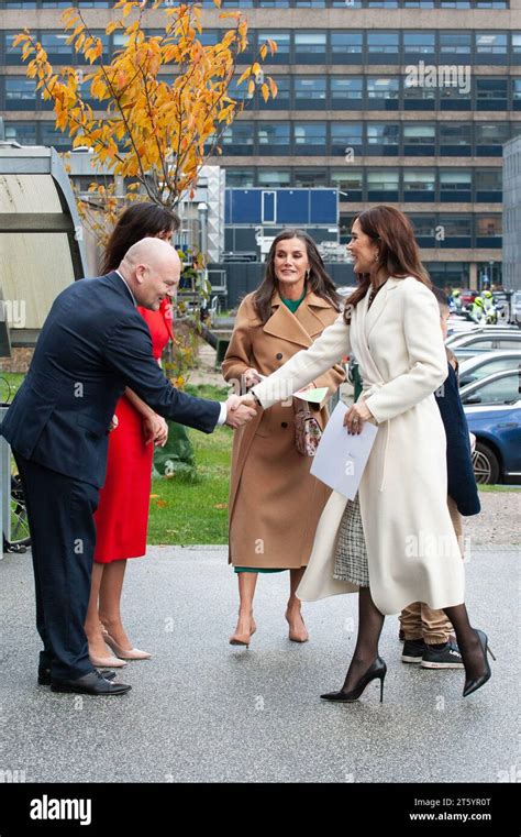 Copenhagen Denmark 07Th Nov 2023 Queen Letizia Of Spain And Crown