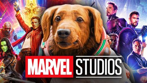 Cosmo The Dog Explained Mcu Avengers Amp Guardians 3 Connections Revealed