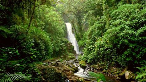 Costa Rica Private Waterfall Hike And Luxury Eco Adventure 8 Days