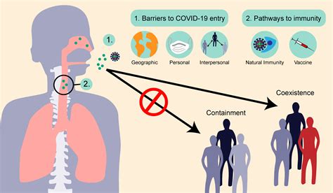 Covid 19 And Emerging Viral Diseases The Journey From Animals To Humans Science In The News