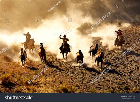 Cowboys Chasing Wilding Horses Roping Riding Stock Photo 104477396