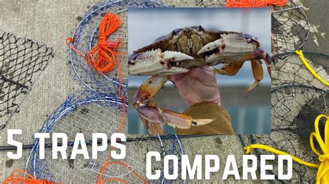 Crabbing Competition 5 Crab Traps And Rings Compared Reviewed