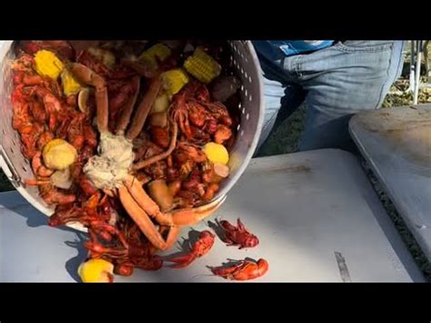 Crawfish From Field To Florida Youtube