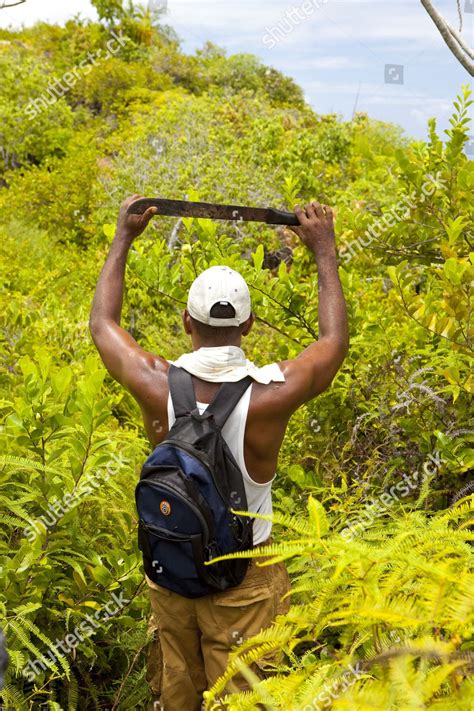 Creole Guide Blazing Trail Through Tropical Editorial Stock Photo