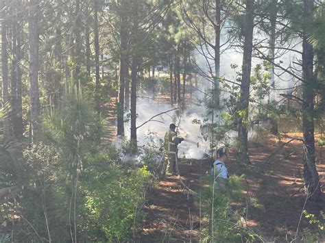 Crews Put Out Brush Fire Behind Destin Walmart Destin Fire Rescue Wkrg