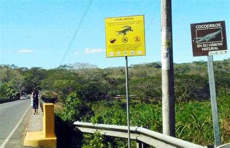 Crocodile Warning Signs In Costa Rica Have Decreased Bad Encounters