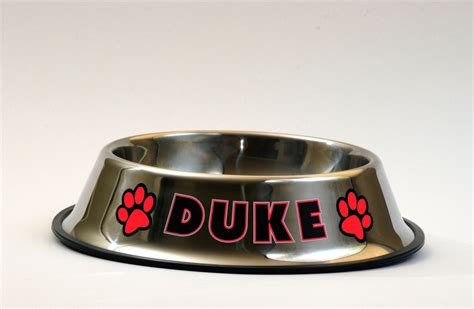 Custom Personalized Dog Bowl Stainless Steel Dog Food Pet