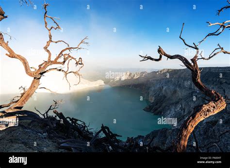 Dead Trees And Smoke With Lake On Kawah Ijen Volcanic Famous Travel