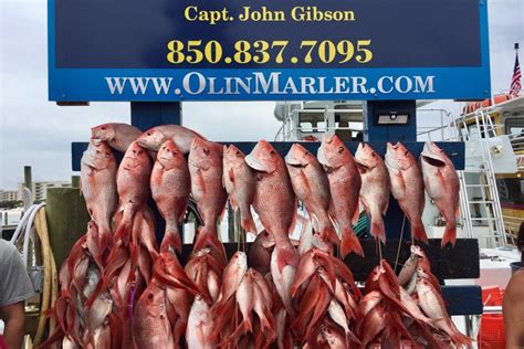 Deep Sea Fishing Party Boat Charter Olin Marler Charter Boats