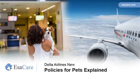 Delta Airlines New Policies For Pets Explained Esa Care