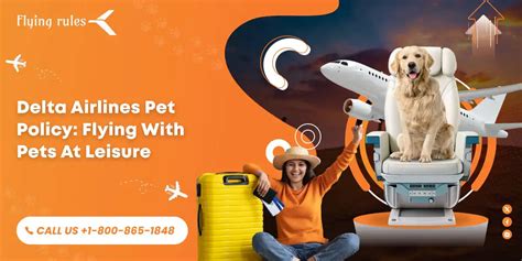 Delta Airlines Pet Policy Dogs Cat Cargo Travel Fee Cost