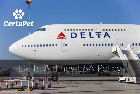 Delta Airlines Pet Policy Flying With Your Psychiatric Service Dog