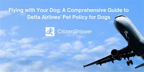 Delta Airlines Pet Policy Guide 2021 Uponarriving