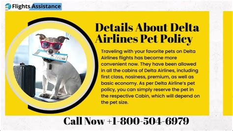 Delta Airlines Pet Policy