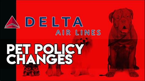 Delta Changes Their Pet Policy Youtube