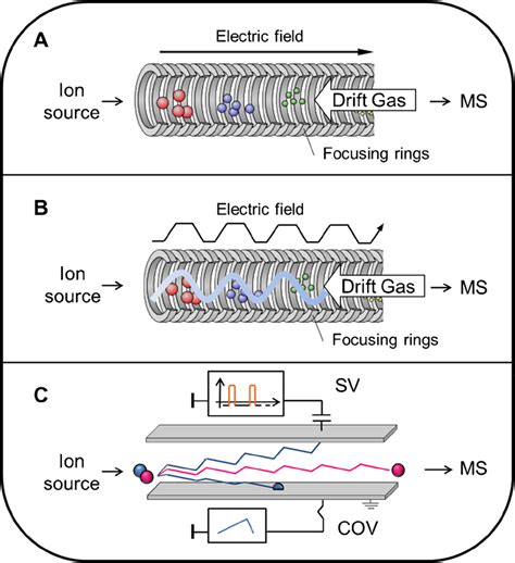 Design Synthesis And Traveling Wave Ion Mobility Mass Spectrometry