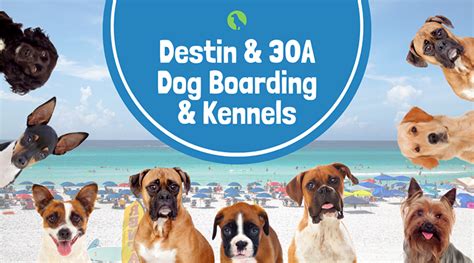 Destin 30A Dog Boarding Pet Friendly Vacations