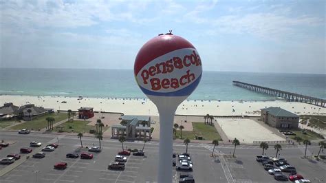 Destin And Pensacola Beach Florida Drone View Of Dolphins Sharks At