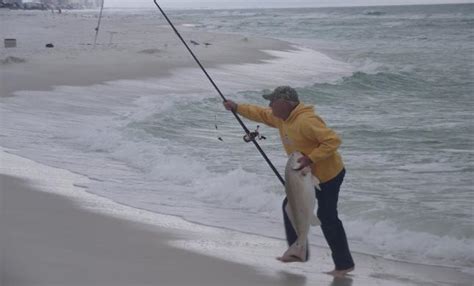 Destin Beach Fishing Guide