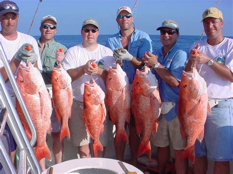 Destin Deep Sea Fishing We Catch Fish 100 Proof Charters