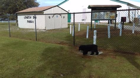 Destin Dog Park 2021 All You Need To Know Before You Go Tours Amp Tickets With Photos