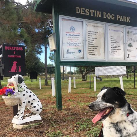 5 Tips Destin Dog Park