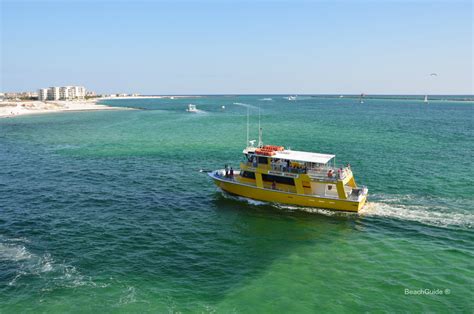 Destin Dolphin Cruise Delivers On Family Fun