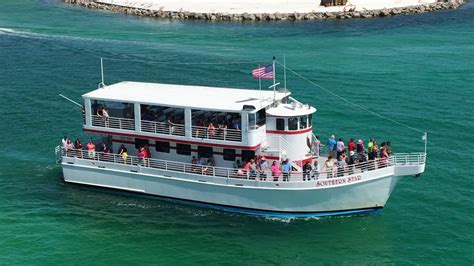 5 Dolphin Tour Tips