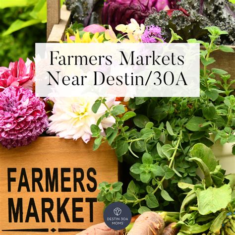 Destin Farmers Market Schedule