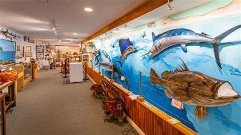 Destin Fishing Museum Guide